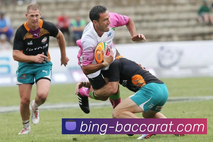 百家乐网站平台生态图